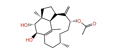 (2R,3R,4S,7R,9R,12S,16S)-2,3-Dihydroxytrinervita-1(15),8(19)-dien-9-yl acetate